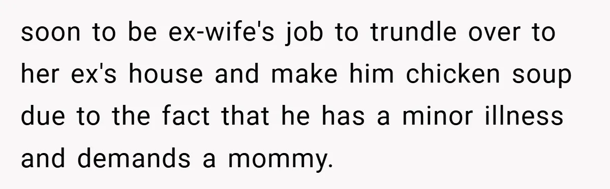 soon to be ex-wife's job to trundle over to her ex's house and make him chicken soup due to the fact that he has a minor illness and demands a...