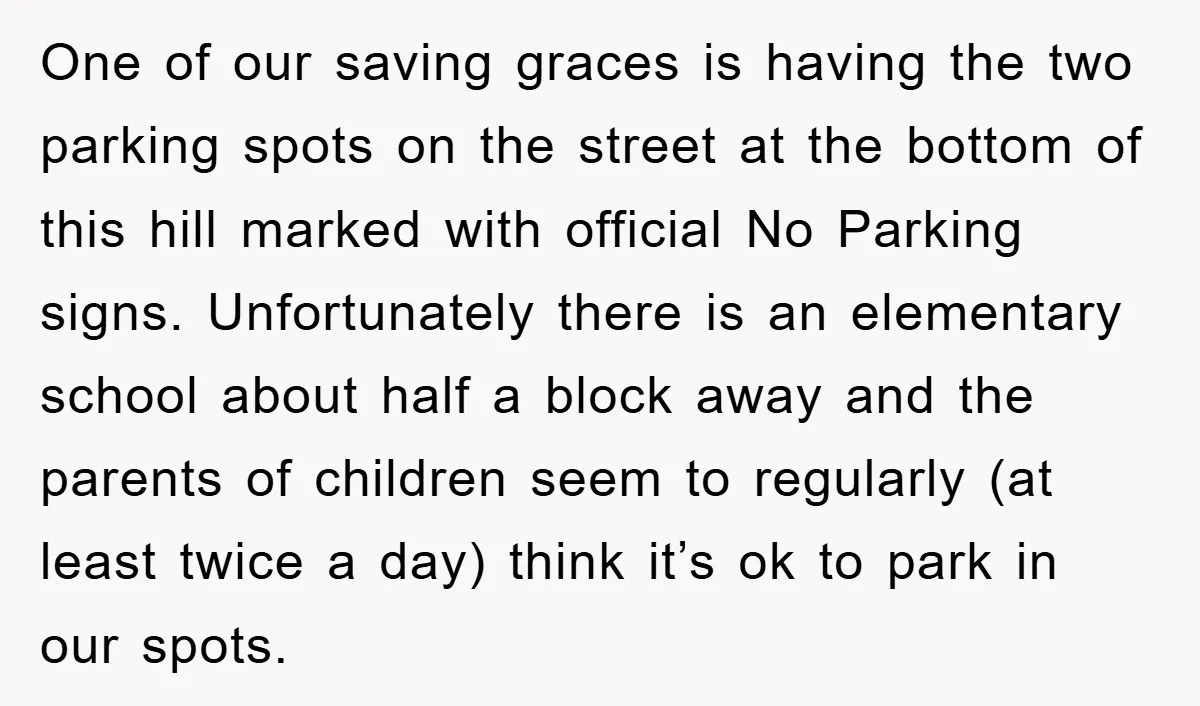 One of our saving graces is having the two parking spots on the street at the bottom of this hill marked with official No Parking signs. Unfortunately there is an...