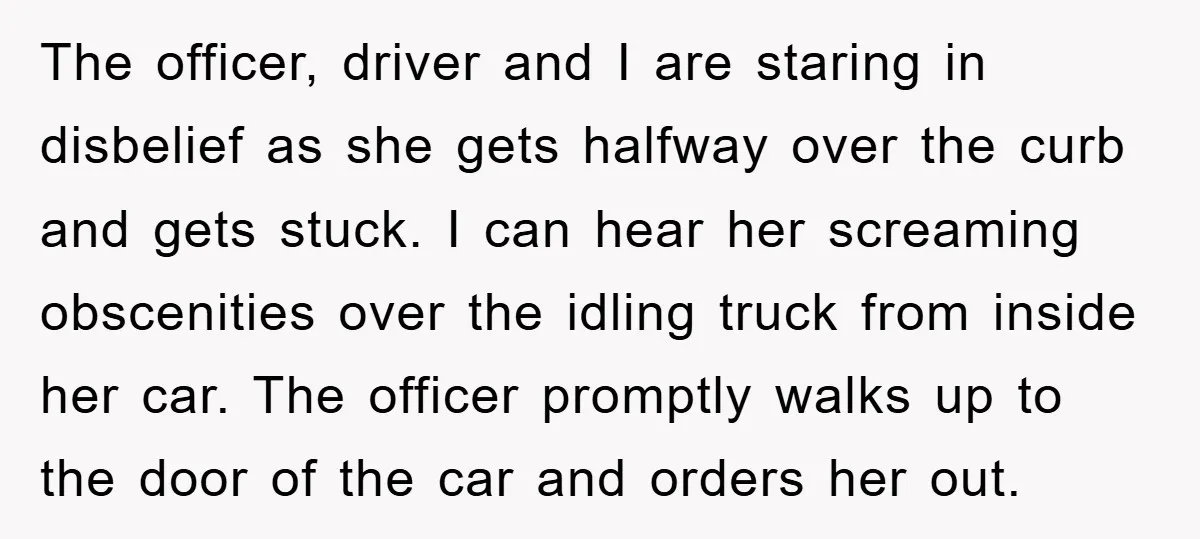The officer, driver and I are staring in disbelief as she gets halfway over the curb and gets stuck. I can hear her screaming obscenities over the idling truck from...