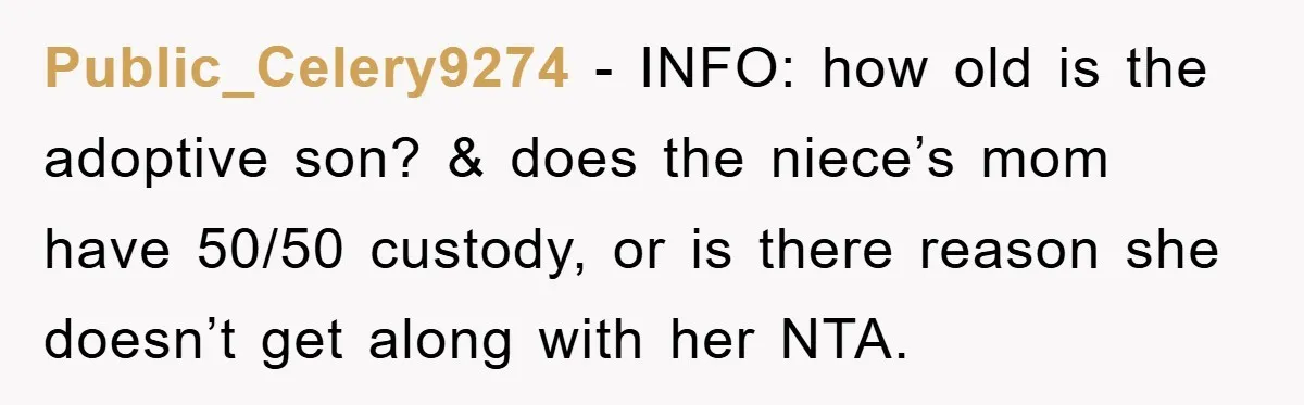 Public_Celery9274 − INFO: how old is the adoptive son? & does the niece’s mom have 50/50 custody, or is there reason she doesn’t get along with her NTA.
