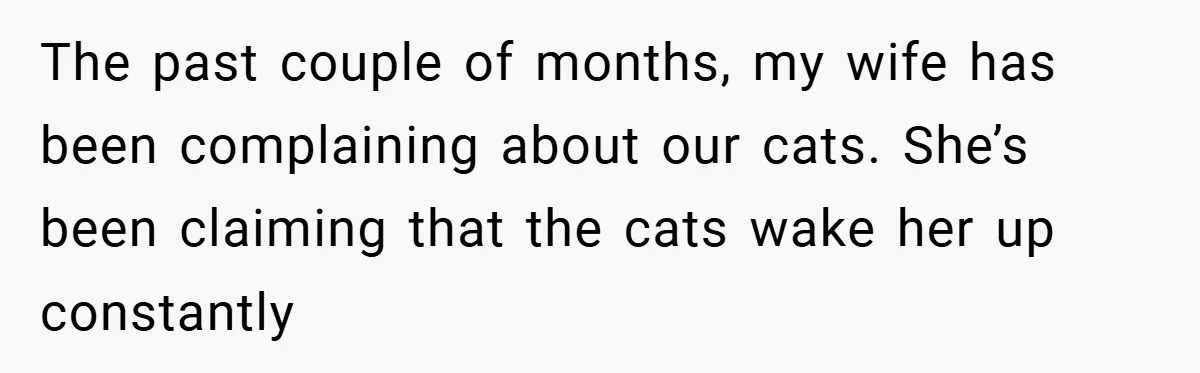 The past couple of months, my wife has been complaining about our cats. She’s been claiming that the cats wake her up constantly