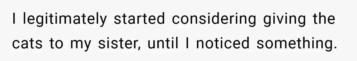 I legitimately started considering giving the cats to my sister, until I noticed something.