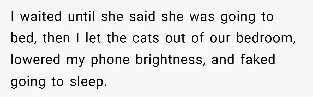 I waited until she said she was going to bed, then I let the cats out of our bedroom, lowered my phone brightness, and faked going to sleep.