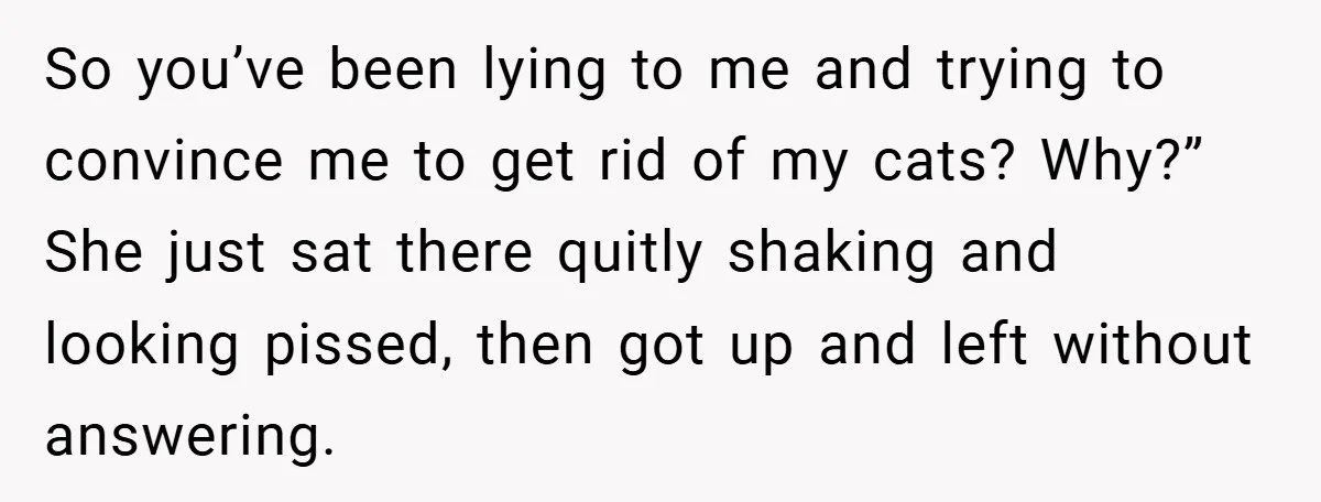 So you’ve been lying to me and trying to convince me to get rid of my cats? Why?” She just sat there quitly shaking and looking pissed, then got up...