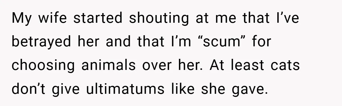 My wife started shouting at me that I’ve betrayed her and that I’m “scum” for choosing animals over her. At least cats don’t give ultimatums like she gave.