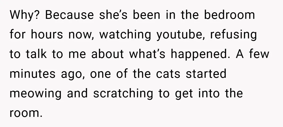 Why? Because she’s been in the bedroom for hours now, watching youtube, refusing to talk to me about what’s happened. A few minutes ago, one of the cats started meowing...