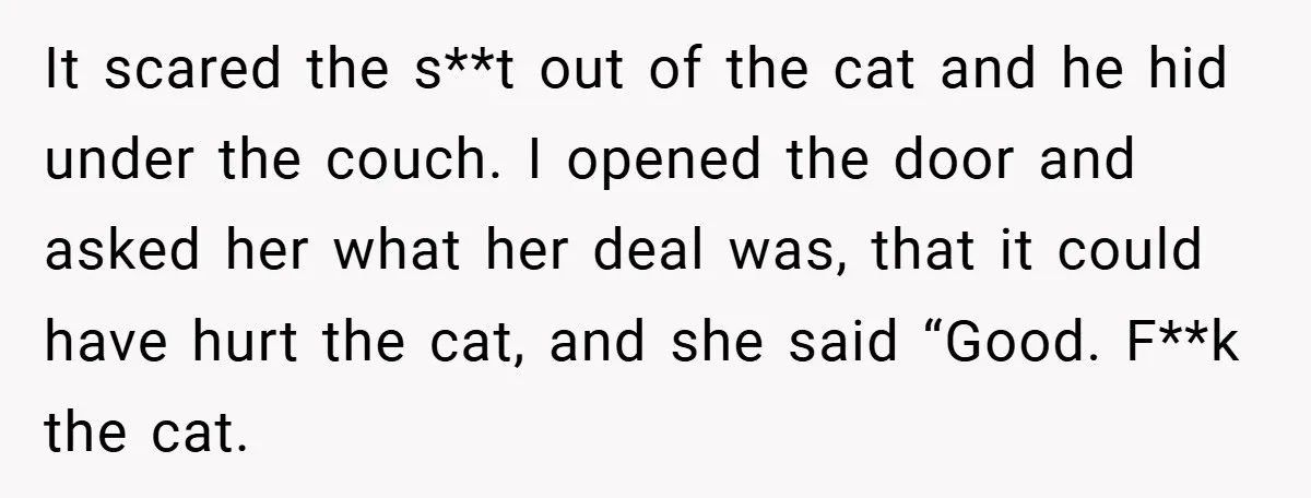 It scared the s**t out of the cat and he hid under the couch. I opened the door and asked her what her deal was, that it could have hurt...