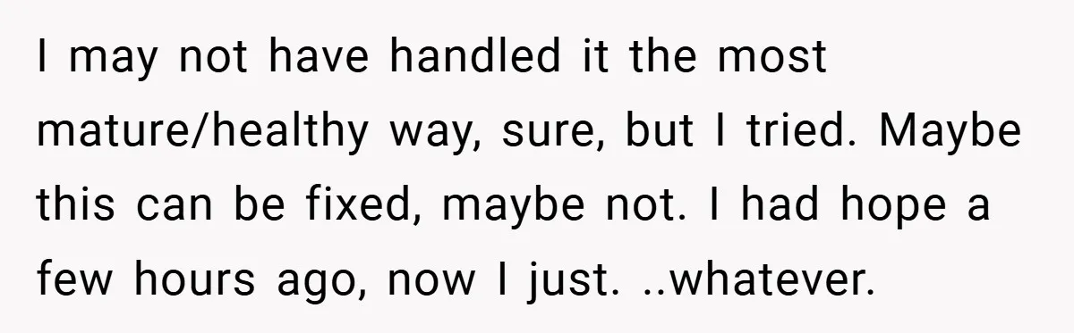 I may not have handled it the most mature/healthy way, sure, but I tried. Maybe this can be fixed, maybe not. I had hope a few hours ago, now I...