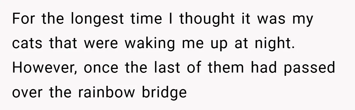 For the longest time I thought it was my cats that were waking me up at night. However, once the last of them had passed over the rainbow bridge