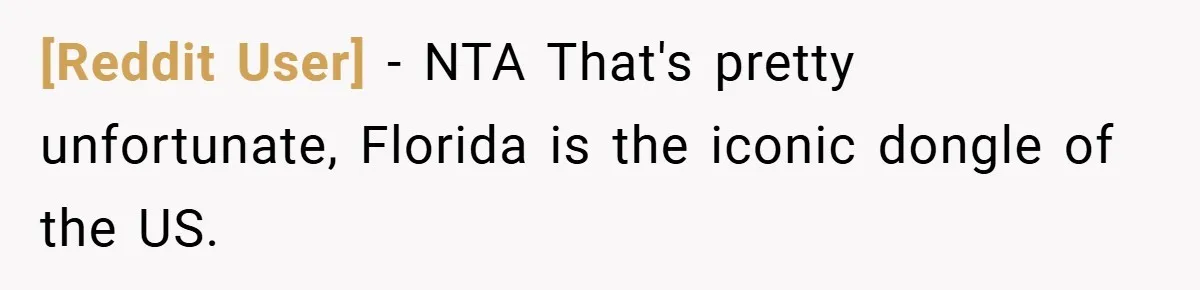 [Reddit User] − NTA That's pretty unfortunate, Florida is the iconic dongle of the US.