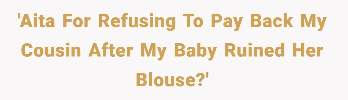 'AITA for refusing to pay back my cousin after my baby ruined her blouse?'