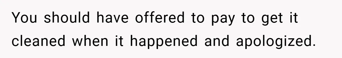 You should have offered to pay to get it cleaned when it happened and apologized.