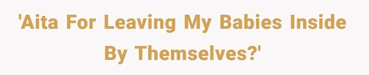 Young Mom Slammed for Leaving Babies Alone - Experts Say She Did the Right Thing 'AITA for leaving my babies inside by themselves?'