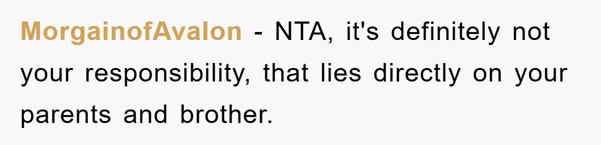 MorgainofAvalon − NTA, it's definitely not your responsibility, that lies directly on your parents and brother.