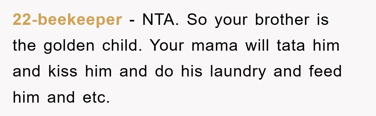 22-beekeeper − NTA. So your brother is the golden child. Your mama will tata him and kiss him and do his laundry and feed him and etc.
