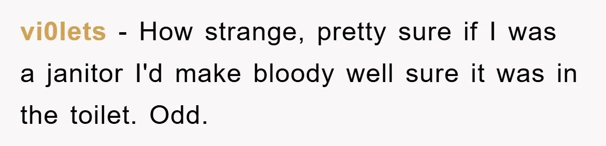 vi0lets − How strange, pretty sure if I was a janitor I'd make bloody well sure it was in the toilet. Odd.