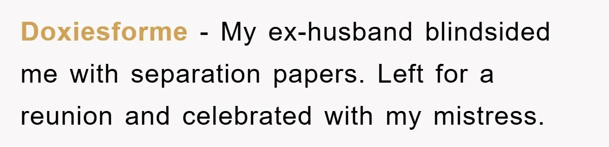 Doxiesforme − My ex-husband blindsided me with separation papers. Left for a reunion and celebrated with my mistress.