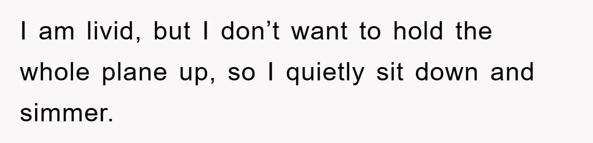 I am livid, but I don’t want to hold the whole plane up, so I quietly sit down and simmer.