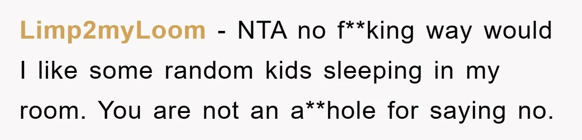 Limp2myLoom − NTA no f**king way would I like some random kids sleeping in my room. You are not an a**hole for saying no.