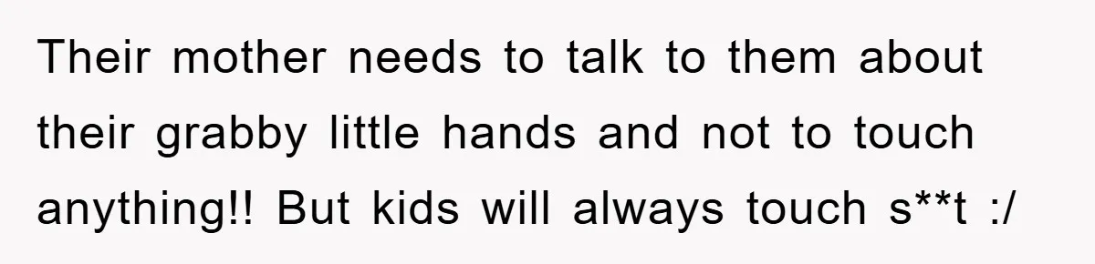 Their mother needs to talk to them about their grabby little hands and not to touch anything!! But kids will always touch s**t :/