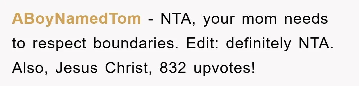 ABoyNamedTom − NTA, your mom needs to respect boundaries. Edit: definitely NTA. Also, Jesus Christ, 832 upvotes!