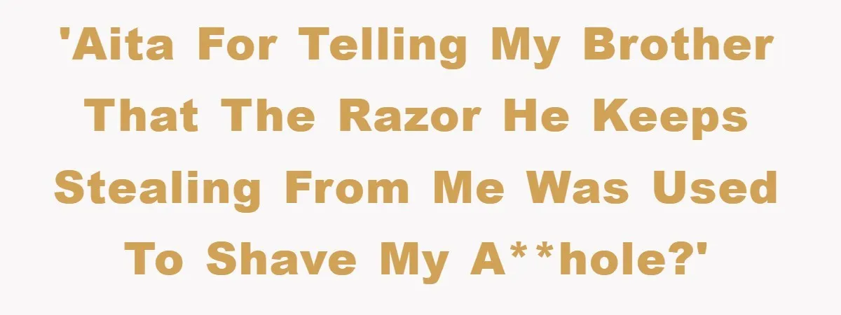 'AITA for telling my brother that the razor he keeps stealing from me was used to shave my a**hole?'
