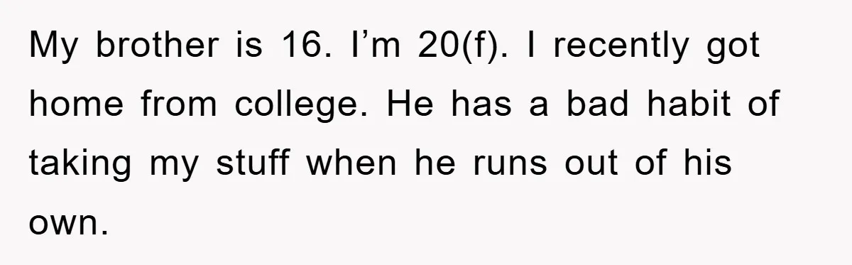 My brother is 16. I’m 20(f). I recently got home from college. He has a bad habit of taking my stuff when he runs out of his own.