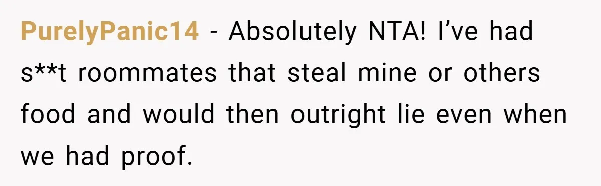 PurelyPanic14 − Absolutely NTA! I’ve had s**t roommates that steal mine or others food and would then outright lie even when we had proof.