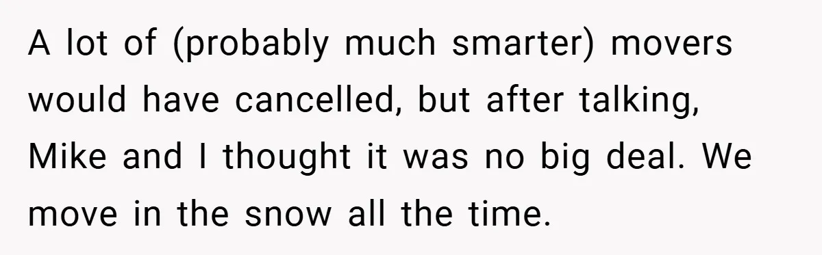 A lot of (probably much smarter) movers would have cancelled, but after talking, Mike and I thought it was no big deal. We move in the snow all the time.