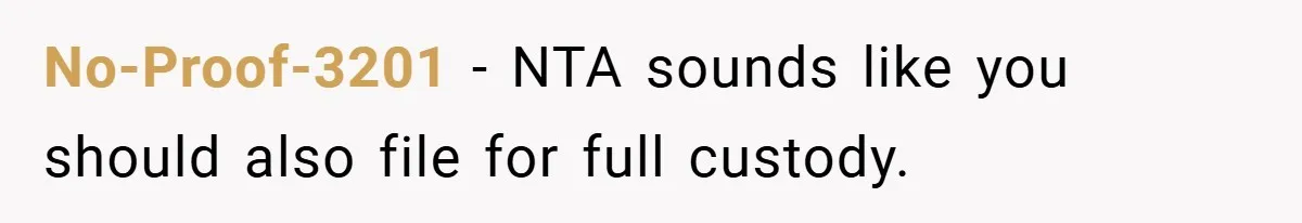 No-Proof-3201 − NTA sounds like you should also file for full custody.