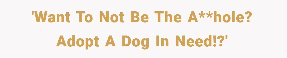 'Want to NOT be the a**hole? Adopt a dog in need!?'