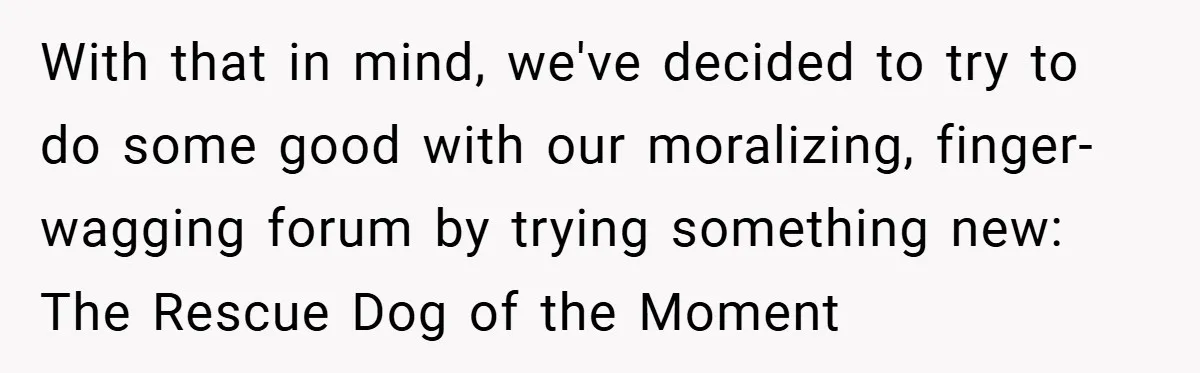 With that in mind, we've decided to try to do some good with our moralizing, finger-wagging forum by trying something new: The Rescue Dog of the Moment
