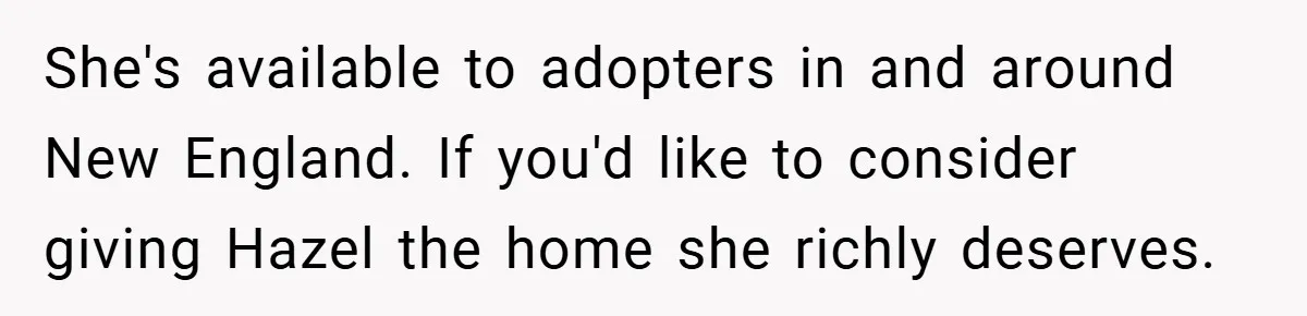 She's available to adopters in and around New England. If you'd like to consider giving Hazel the home she richly deserves.