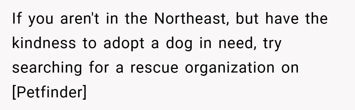 If you aren't in the Northeast, but have the kindness to adopt a dog in need, try searching for a rescue organization on [Petfinder]