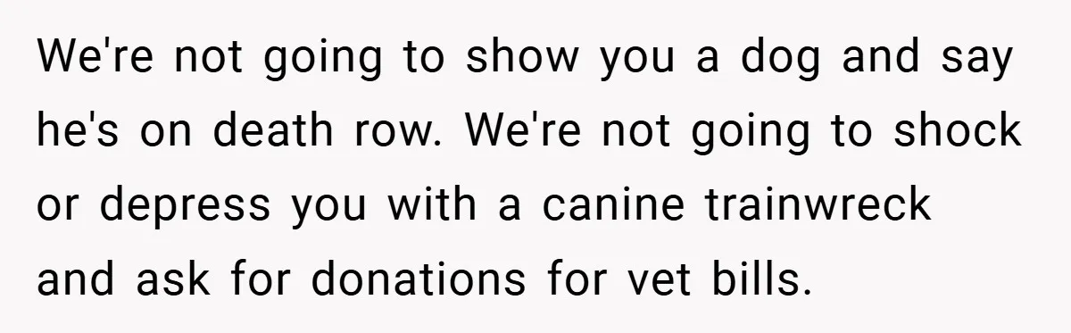 We're not going to show you a dog and say he's on death row. We're not going to shock or depress you with a canine trainwreck and ask for donations...