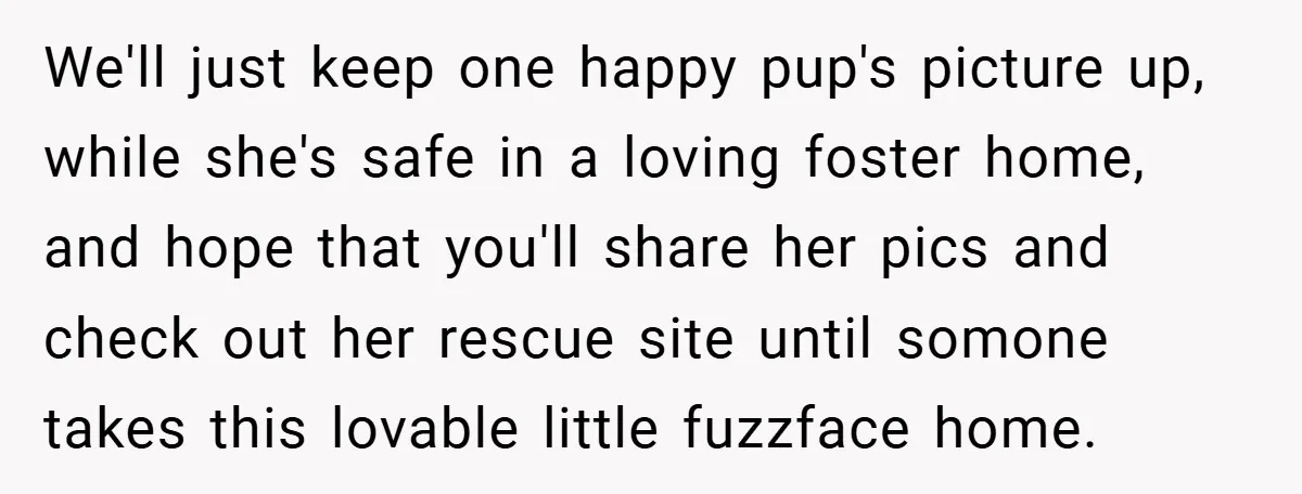 We'll just keep one happy pup's picture up, while she's safe in a loving foster home, and hope that you'll share her pics and check out her rescue site until...