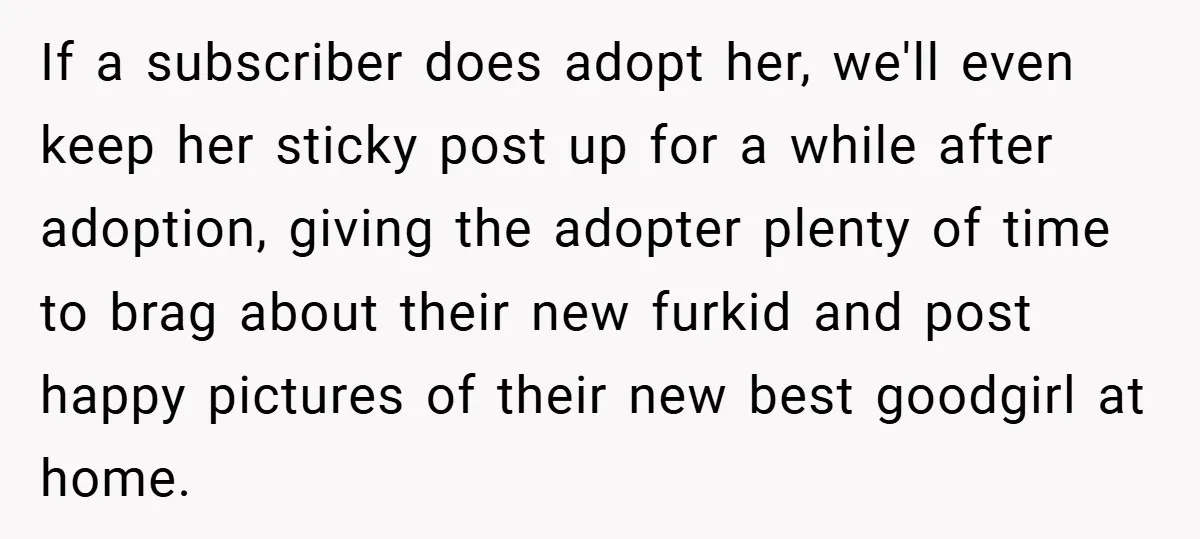 If a subscriber does adopt her, we'll even keep her sticky post up for a while after adoption, giving the adopter plenty of time to brag about their new furkid...