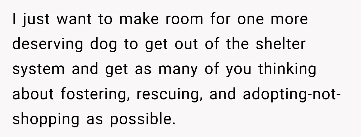 I just want to make room for one more deserving dog to get out of the shelter system and get as many of you thinking about fostering, rescuing, and adopting-not-shopping...