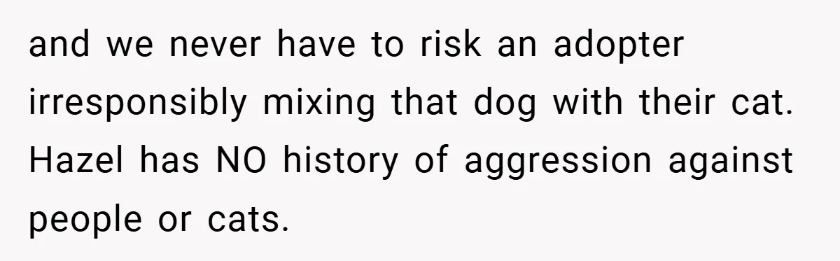 and we never have to risk an adopter irresponsibly mixing that dog with their cat. Hazel has NO history of aggression against people or cats.