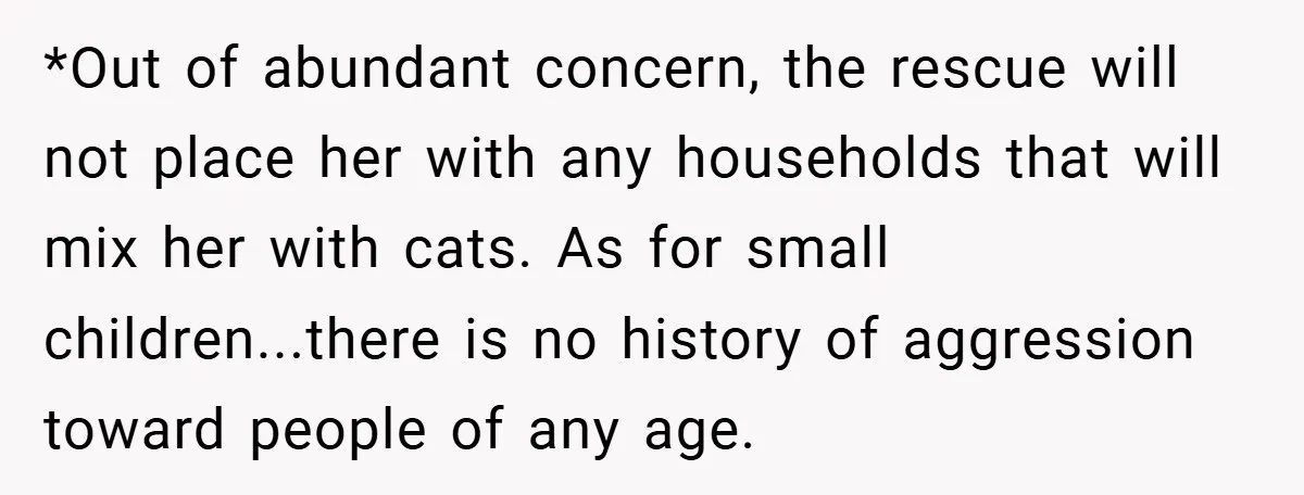 *Out of abundant concern, the rescue will not place her with any households that will mix her with cats. As for small children...there is no history of aggression toward people...
