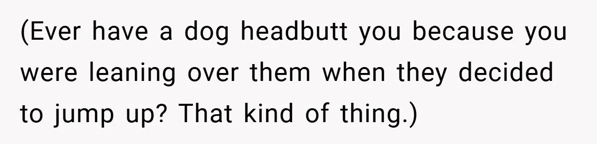 (Ever have a dog headbutt you because you were leaning over them when they decided to jump up? That kind of thing.)