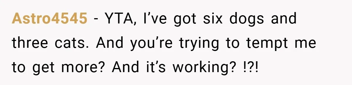 Astro4545 − YTA, I’ve got six dogs and three cats. And you’re trying to tempt me to get more? And it’s working? !?!