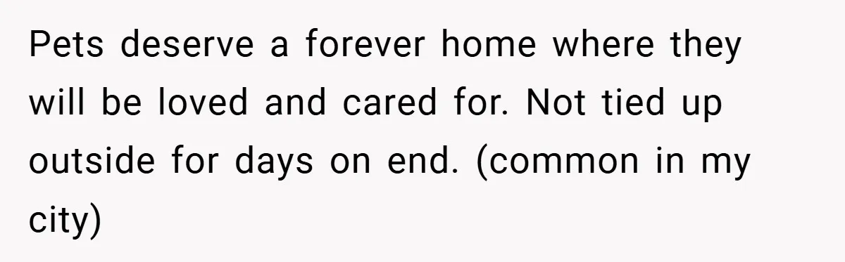 Pets deserve a forever home where they will be loved and cared for. Not tied up outside for days on end. (common in my city)