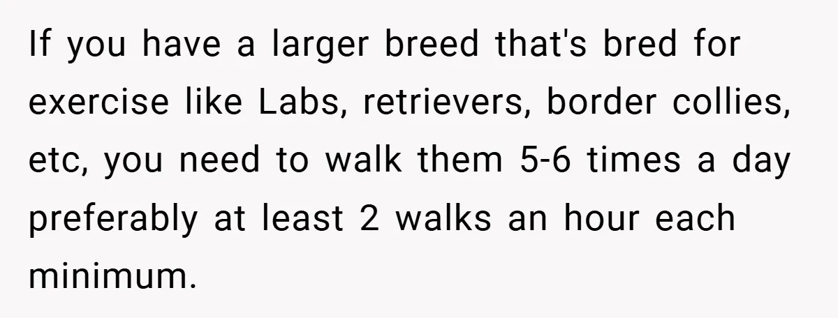 If you have a larger breed that's bred for exercise like Labs, retrievers, border collies, etc, you need to walk them 5-6 times a day preferably at least 2 walks...