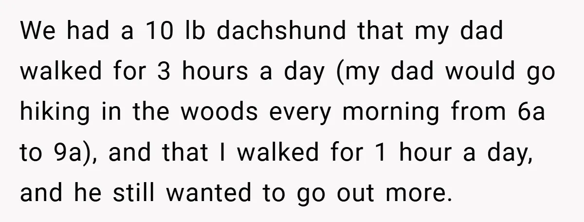 We had a 10 lb dachshund that my dad walked for 3 hours a day (my dad would go hiking in the woods every morning from 6a to 9a), and...