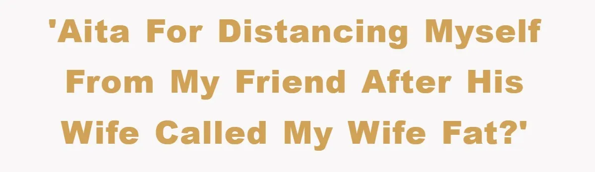 'Aita for distancing myself from my friend after his wife called my wife fat?'