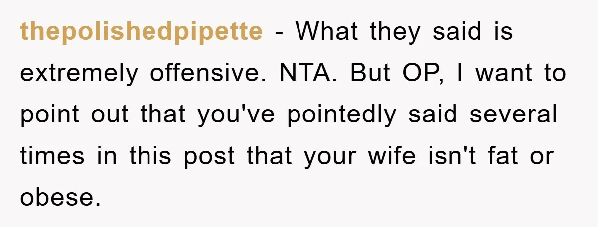 thepolishedpipette − What they said is extremely offensive. NTA. But OP, I want to point out that you've pointedly said several times in this post that your wife isn't fat...