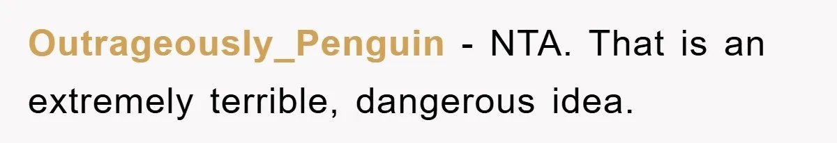 Outrageously_Penguin − NTA. That is an extremely terrible, dangerous idea.