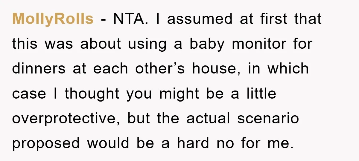 MollyRolls − NTA. I assumed at first that this was about using a baby monitor for dinners at each other’s house, in which case I thought you might be a...