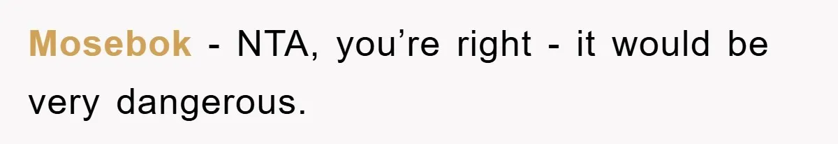 Mosebok − NTA, you’re right - it would be very dangerous.